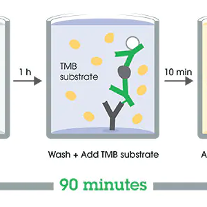Human GFAP ELISA Kit