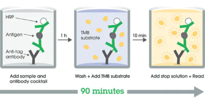 Human GFAP ELISA Kit