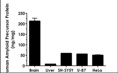 Human Amyloid Precursor Protein ELISA Kit - Image 3
