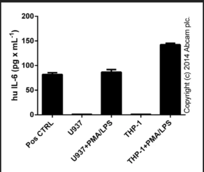 Human IL-6 ELISA Kit - Image 3
