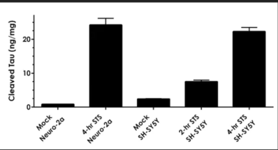 Cleaved Tau ELISA Kit (Human Asp738/Mouse Asp713) - Image 5