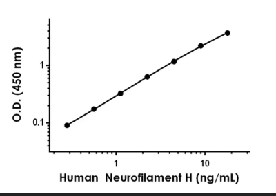 Human Neurofilament H ELISA Kit (200 kDa Neurofilament protein) - Image 2