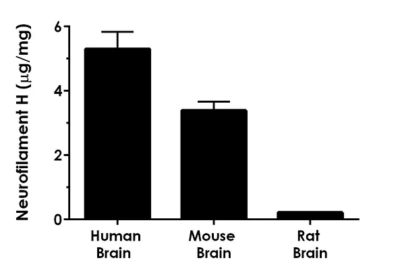 Human Neurofilament H ELISA Kit (200 kDa Neurofilament protein) - Image 4