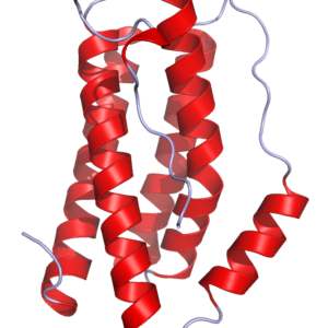 Human IL-6 ELISA Kit