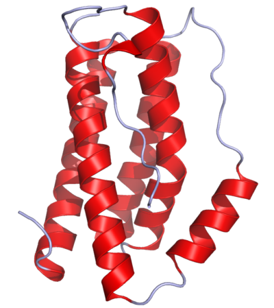 Human IL-6 ELISA Kit