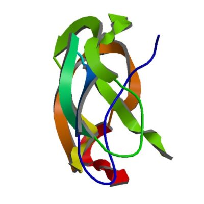 Human Amyloid Precursor Protein ELISA Kit
