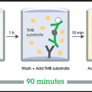 S100B ELISA Kit