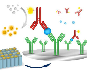 COVID-19 S-Protein (S1RBD) Human IgA ELISA Kit