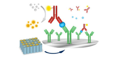 COVID-19 S-Protein (S1RBD) Human IgA ELISA Kit